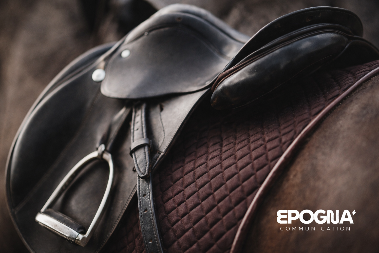 community manager équitation